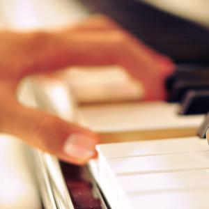 美女的黑森林网站
