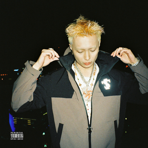 美女的黑森林网站
