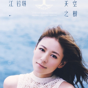 美女的黑森林网站
