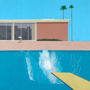 美女的黑森林网站
