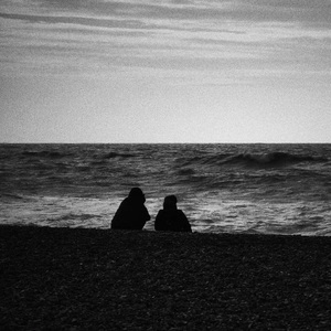 美女的黑森林网站
