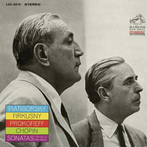 美女的黑森林网站
